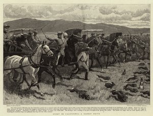 カリフォルニアのスポーツ、ウサギのドライブ 作： John Charlton